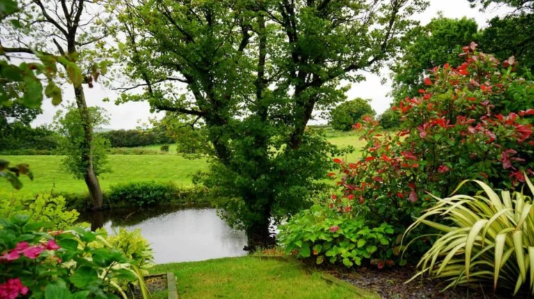 garden