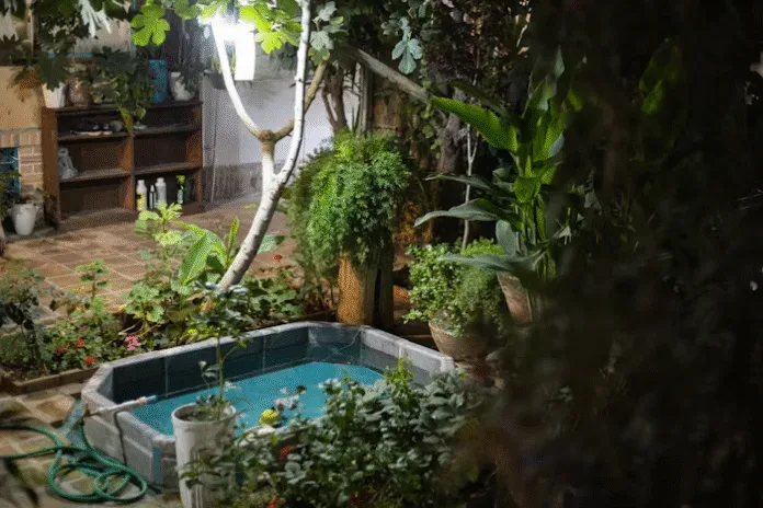 pool
