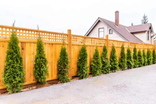 how much does a 6-foot privacy fence cost per foot