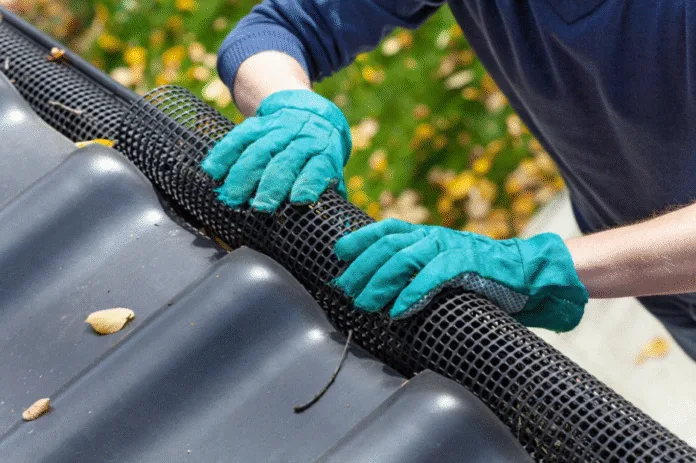 Gutter Services