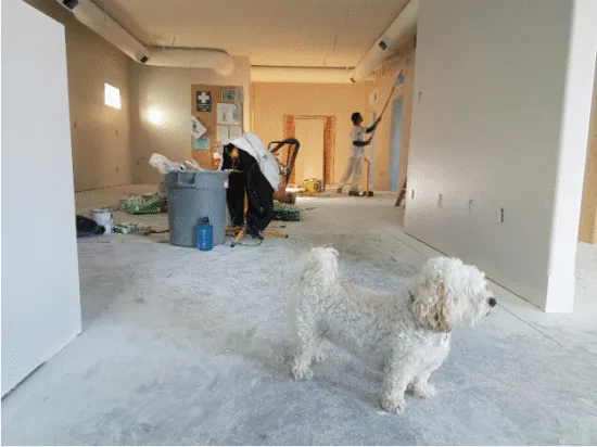 cleaning