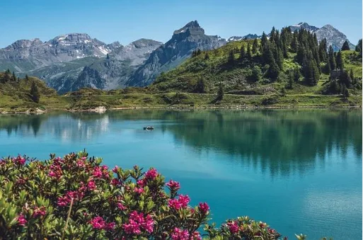 lake view