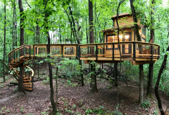 Tiny House Treehouse