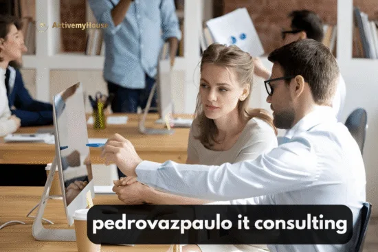 pedrovazpaulo it consulting