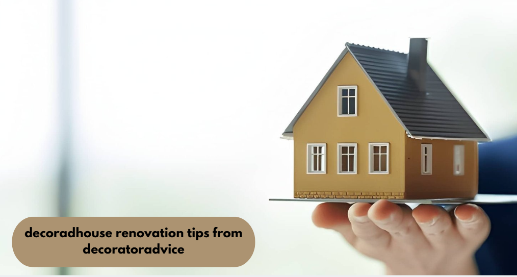 decoradhouse renovation tips from decoratoradvice