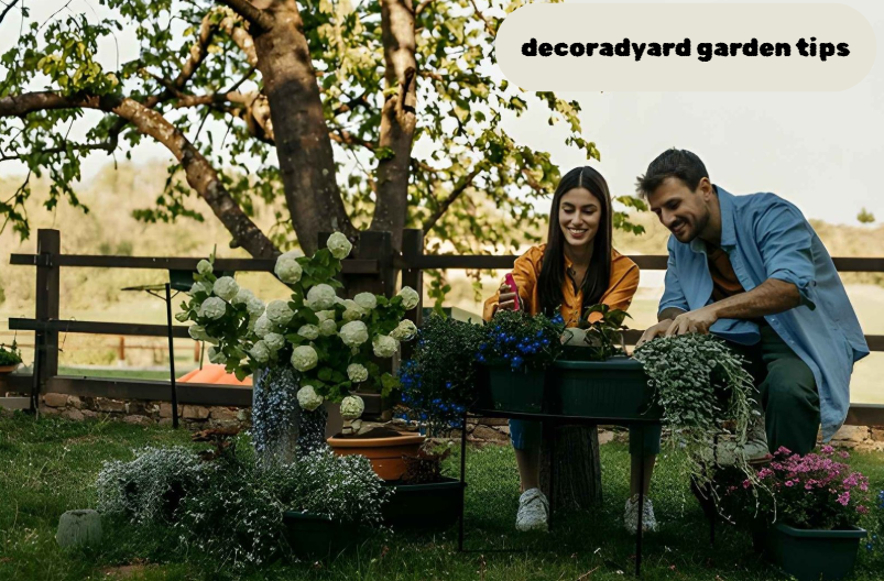 decoradyard garden tips